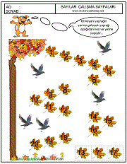 sayılar örüntü çalışma sayfaları